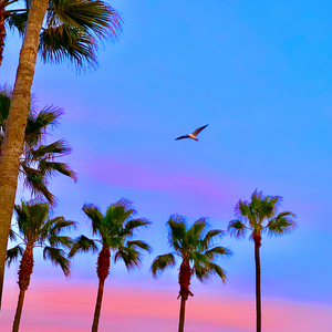 寡妇肥奶大屁股好紧
