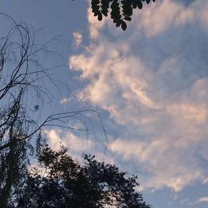 寡妇肥奶大屁股好紧
