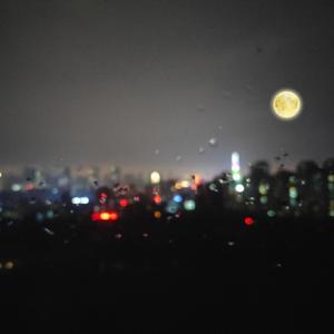 寡妇肥奶大屁股好紧
