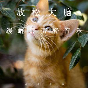 寡妇肥奶大屁股好紧
